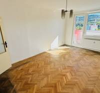 Na predaj 1 i VM byt 47 m2 – 2 x balkón - Partizánske – Luhy - Izba s podlahou s dreveným dekorom v 1-izbovom byte, veľké okno, dvere s presklením.