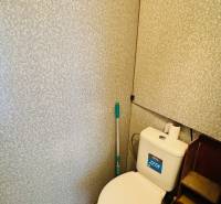 Na predaj 1 i VM byt 47 m2 – 2 x balkón - Partizánske – Luhy - Toaleta v 1-izbovom byte s nádržkou a stenou s reliéfnym vzorom.