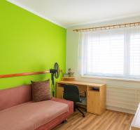 Predaj, 3 - izbový byt, Žiar nad Hronom - Izba s farebnou stenou, pohovkou, stolom a podlahou s dreveným dekorom v 2-izbovom byte.