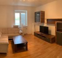 2-izb. byt, Tylova ul., Nové Mesto, tehlový dom - Obývacia izba v 2-izbovom byte s pohovkou, TV a podlahou s dreveným dekorom.