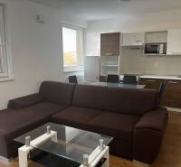 ZARIADENÁ NOVOSTAVBA 1, 5 izb. bytu- DUBOVÝ VŔŠOK - Obývačka s kuchynským kútom, hnedou sedačkou a podlahou s dreveným dekorom v 2-izbovom byte.