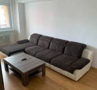 2-izb. byt, Nobelova ul., Nové Mesto, 2.p./7, balkón - Obývacia izba v 2-izbovom byte s tmavou pohovkou a podlahou s dreveným dekorom.