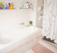 Rodinný dom v obci Čilížska Radváň s veľkým pozemkom - Kúpeľňa s vaňou, pestrofarebné doplnky, záves a rastliny v horskom rodinnom dome.