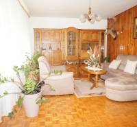 Rodinný dom v obci Čilížska Radváň s veľkým pozemkom - Obývacia izba rodinného domu s drevenou stenou, pohovkou a rastlinami.