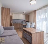 Lukratívne dvoj a štvorizbové byty v Tatranskej Lomnici na prenájom - Obývacia izba v 2-izbovom byte s nábytkom a podlahou s dreveným dekorom.