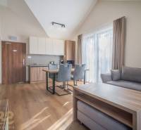 Lukratívne dvoj a štvorizbové byty v Tatranskej Lomnici na prenájom - Svetlý 2-izbový byt s podlahou s dreveným dekorom, pohodlným sedením a kuchyňou.