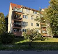 Novinka: Moderný  4-izb. mezonetový byt s balkónom a terasou. Muškát - Bytový dom na ulici Pekníkova v Pezinku, obklopený zeleňou v blízkosti 4-izbového bytu.