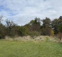 Novinka: Ponuka pre investorov: 4 stavebné pozemky s úz.rozhodnutím. - Pozemky na bývanie v Budmericiach lemované zeleňou a oplotením.