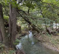 Novinka: Ponuka pre investorov: 4 stavebné pozemky s úz.rozhodnutím. - Potok obklopený zeleňou v Budmericiach ideálny pre pozemky - bývanie.