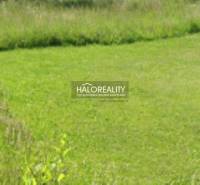 Predaj, pozemok pre rodinný dom   750 m2 Dulova Ves - Zelený pozemok v Dulovej Vsi, vhodný pre bývanie, obklopený prírodou.