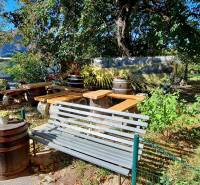 NA PRENÁJOM – odstúpenie vinotéky v srdci Starého Mesta s dušou vína - Záhrada s lavičkou a drevenými sudmi v Bratislave, Staré Mesto, na ulici Prokopa Veľkého.