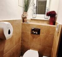 NA PRENÁJOM – odstúpenie vinotéky v srdci Starého Mesta s dušou vína - Toaleta v obchodných priestoroch s dlažbou a ozdobnými rastlinami.