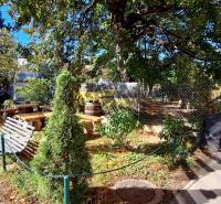 NA PRENÁJOM – odstúpenie vinotéky v srdci Starého Mesta s dušou vína - Záhrada s lavičkami a stromami v obchodných priestoroch na Prokopa Veľkého v Bratislave - Starom Meste.