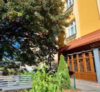 NA PRENÁJOM – odstúpenie vinotéky v srdci Starého Mesta s dušou vína - Obchodné priestory vo vinotéke na Prokopa Veľkého v Bratislave - Staré Mesto obklopené zeleňou.