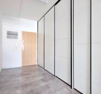 VELKOMETRÁŽNY 1 IZB.AP.BYT- TRNAVSKÁ CESTA, RUŽINOV, BRATISLAVA - Chodba s veľkou bielou skriňou a podlahou s dreveným dekorom v 1-izbovom byte.