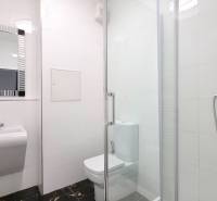 VELKOMETRÁŽNY 1 IZB.AP.BYT- TRNAVSKÁ CESTA, RUŽINOV, BRATISLAVA - Kúpeľňa v 1-izbovom byte s moderným sprchovým kútom a zrkadlom nad umývadlom.