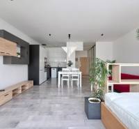 VELKOMETRÁŽNY 1 IZB.AP.BYT- TRNAVSKÁ CESTA, RUŽINOV, BRATISLAVA - Interiér 1-izbového bytu s jedálenským stolom, kuchyňou a posteľou, podlaha s dreveným dekorom.