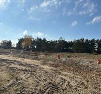 Stavebný pozemok na predaj - Studienka. - Pozemky na bývanie na ulici Pod Borovicou v Studienke obklopené stromami a modrou oblohou.