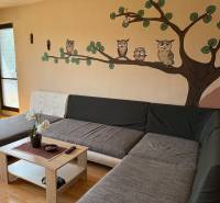 5-izbový rodinný dom v Borskom Mikuláši - bez rezervačej zálohy - Obývačka s maľbou sov, sedačkou a podlahou s dreveným dekorom v rodinnom dome.