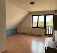 5-izbový rodinný dom v Borskom Mikuláši - bez rezervačej zálohy - Izba v rodinnom dome s podlahou s dreveným dekorom a veľkým oknom.