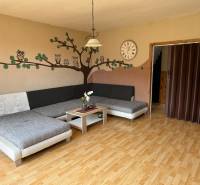 5-izbový rodinný dom v Borskom Mikuláši - bez rezervačej zálohy - Obývačka v rodinnom dome s pohovkou, dekoráciou sov a podlahou s dreveným dekorom.