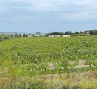 NA PREDAJ 5i rekreačný RD | Pekná cesta | Lesopark Rača  - Vinice v Bratislave - Rači pri Peknej ceste s výhľadom na okolitú krajinu.