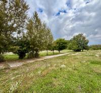 Na PREDAJ | investičný pozemok | Rusovce | výborná poloha - Developerské pozemky v Bratislave - Rusovce na Pri Pieskovom Hone s lúkou a stromami.