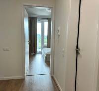 Nový 2-izbový byt na prenájom - Bory - Chodba v 2-izbovom byte s podlahou s dreveným dekorom a pohľadom na obývačku.