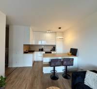 Nový 2-izbový byt na prenájom - Bory - Kuchyňa s ostrovčekom, podlahou s dreveným dekorom a v 2-izbovom byte.