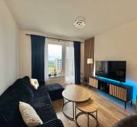 Nový 2-izbový byt na prenájom - Bory - Obývacia izba v 2-izbovom byte s čiernou sedačkou, stolíkmi a podlahou s dreveným dekorom.