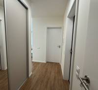 Nový 2-izbový byt na prenájom - Bory - Chodba v 2-izbovom byte s podlahou s dreveným dekorom a posuvnými dverami.