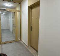 Nový 2-izbový byt na prenájom - Bory - Chodba v budove s dverami a sklenenou priečkou, 2-izbový byt.