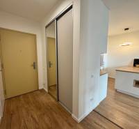 Nový 2-izbový byt na prenájom - Bory - Vstupná hala 2-izbového bytu s podlahou s dreveným dekorom, šatníkovou skriňou a kuchynským ostrovčekom.