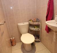 ZNÍŽENÁ cena - viacgeneračný  rodinný dom v Borinke  - Toaleta s umývadlom, nápadité dlaždice, patrón súrodý s rodinným domom na ulici Borinka.