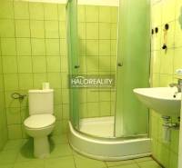 Prenájom, jednoizbový byt Nováky - Kúpeľňa so sprchovacím kútom a zelenými obkladmi v 1-izbovom byte.