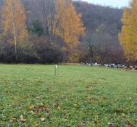 Pozemok v obci Podhradie, časť Konské - Trávnaté rekreačné pozemky na Jeseni v Podhradí, Konské, s farebnými listnatými stromami v pozadí.