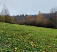 Pozemok v obci Podhradie, časť Konské - Zeleň na rekreačných pozemkoch Konskej v Podhradí s jesennými stromami v pozadí.