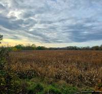 *Investičný pozemok* Moravany nad Váhom - Krajina s poliami pri Moravanoch nad Váhom na ulici Na Výhone, kategória Pozemky - bývanie.
