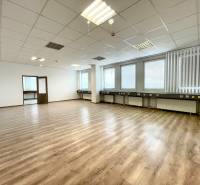 PRIESTORY, NA PRENÁJOM, CENTRUM TRENČÍN, ul. Jilemnického - Svetlé kancelárie s podlahou s dreveným dekorom a stropnými svetlami.