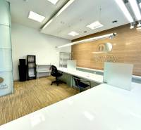 Obchodno- kancelársky priestor s výkladom na Nám. slobody - Kancelária Diners Club International s pracovnými stolmi a vybavením, Námestie slobody, obchodné priestory.