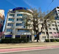 Obchodno- kancelársky priestor s výkladom na Nám. slobody - Budova na ulici Námestie slobody s kanceláriami, obrazy na budove, jarné stromy.