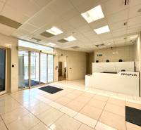 Obchodno- kancelársky priestor s výkladom na Nám. slobody - Recepcia v budove na ulici Námestie slobody, interiér kancelárie, svetlé osvetlenie.