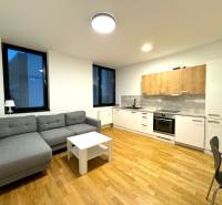 Budova s 8 apartmánmi alebo medicínske centrum, 9 park. miest- Koliba - Obývačka s kuchyňou, sivá sedačka, drevená podlaha, na ulici Na varte.