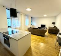 Budova s 8 apartmánmi alebo medicínske centrum, 9 park. miest- Koliba - Svetlá obývačka a kuchyňa, drevená podlaha, pohovky; ulica Na varte, Budova.