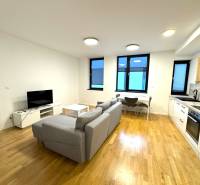 Budova s 8 apartmánmi alebo medicínske centrum, 9 park. miest- Koliba - Obývačka s kuchyňou, sivá sedačka, TV, jedálenský kút a kuchynská linka.