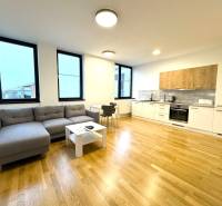 Budova s 8 apartmánmi alebo medicínske centrum, 9 park. miest- Koliba - Kuchyňa s obývačkou má drevenú podlahu a sivú pohovku na ulici Na varte.