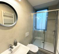 Budova s 8 apartmánmi alebo medicínske centrum, 9 park. miest- Koliba - Kúpeľňa s umývadlom, sprchovacím kútom a zrkadlom v budove na ulici Na varte.