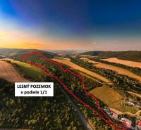 Rokycany – 70.000 m2 LESNÝ POZEMOK v podiele 1/1 - Lesný pozemok obklopený poľnohospodárskymi poliami a krajinou v okolí Rokycian.
