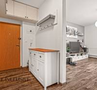 NA PREDAJ 2-IZBOVÝ BYT S 2 BALKÓNMI, DUNAJSKÁ STREDA - Vstupná chodba v 2-izbovom byte s podlahou s dreveným dekorom a bielym nábytkom.