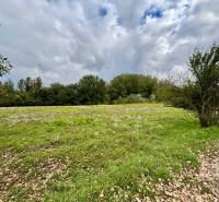 GRAVITAS | Na PREDAJ | rekreačný developerský pozemok | Rusovce - Zelený trávnatý pozemok obklopený stromami v lokalite Bratislava - Rusovce, Pri Pieskovom Hone.